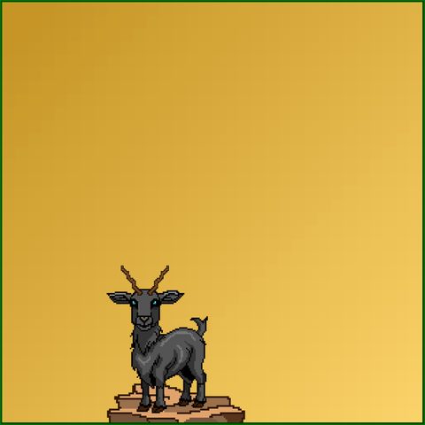 Goat #250