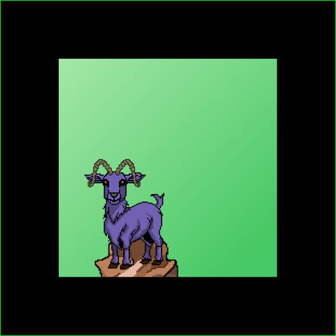 Goat #490